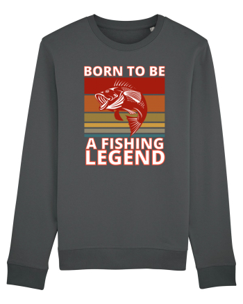 Pescari Anthracite
