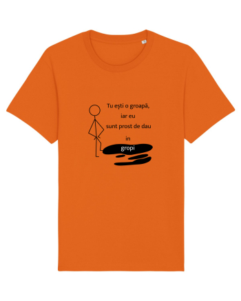 Tu ești o groapa, iar eu sunt prost de dau in gropi  Bright Orange