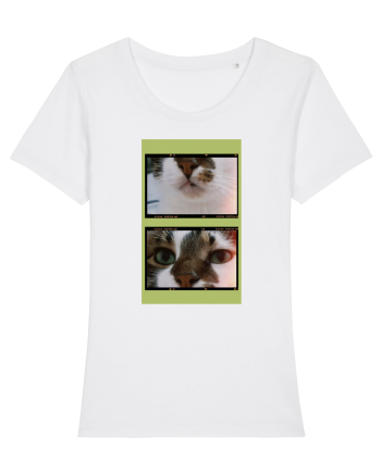Cats White