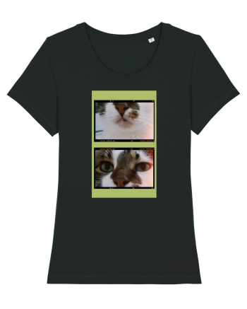 Cats Black