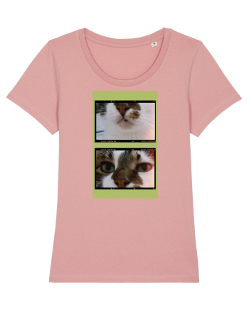 Cats Canyon Pink