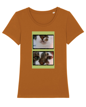 Cats Roasted Orange