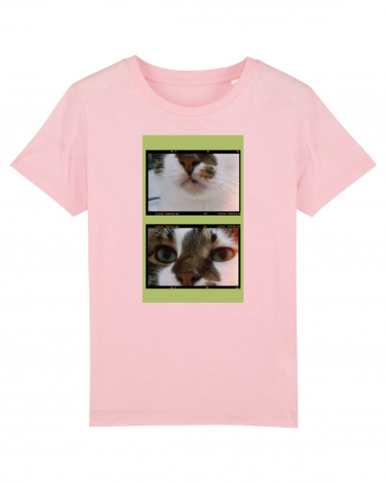 Cats Cotton Pink