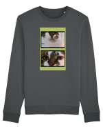 Cats Bluză mânecă lungă Unisex Rise