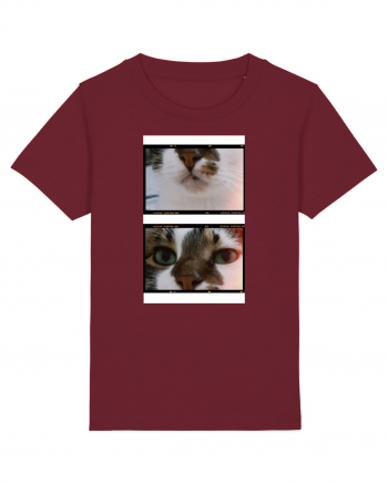 Cats Burgundy