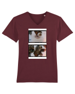 Cats Tricou mânecă scurtă guler V Bărbat Presenter