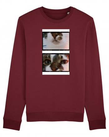 Cats Burgundy