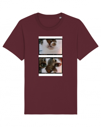 Cats Burgundy