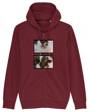 Cats Burgundy