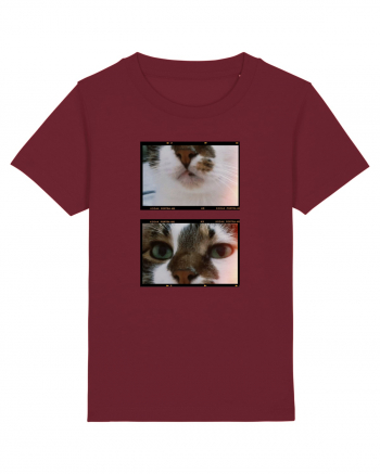 Cats Burgundy