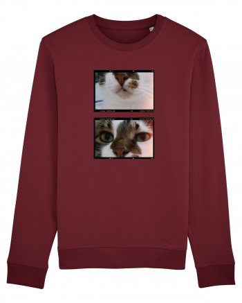 Cats Burgundy