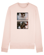 Cats Bluză mânecă lungă Unisex Rise