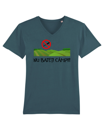Nu bateti campii Stargazer