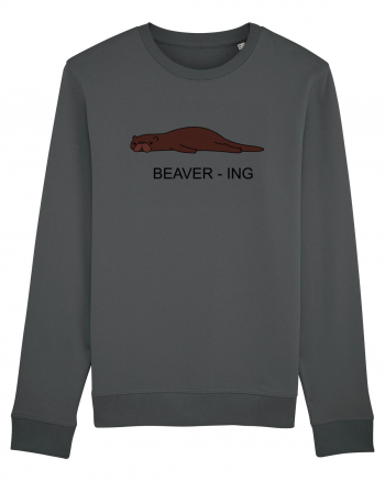 Beaver-ing Anthracite