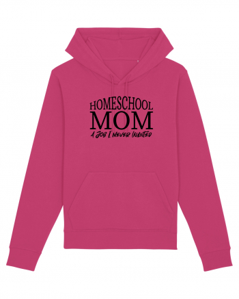 HomeSchool Mom Raspberry