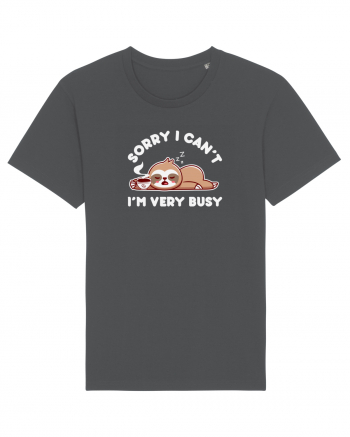 Busy Sloth Anthracite