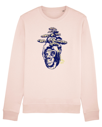 Gorilă Bonsai Candy Pink