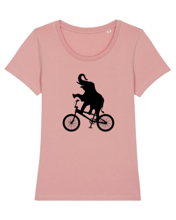 Circus Canyon Pink
