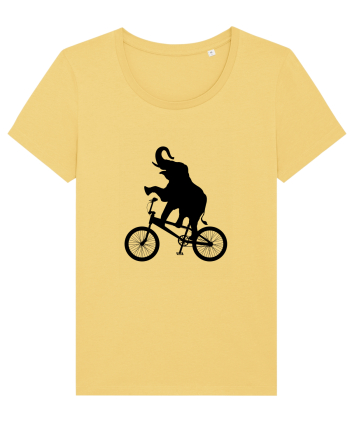 Circus Jojoba