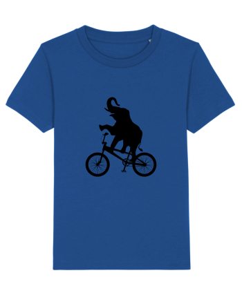 Circus Majorelle Blue
