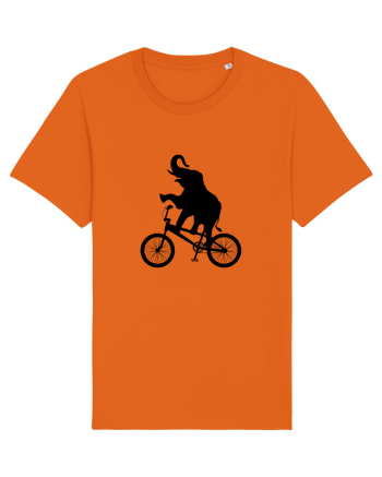 Circus Bright Orange
