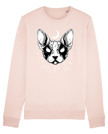 Pisică Sfinx Candy Pink