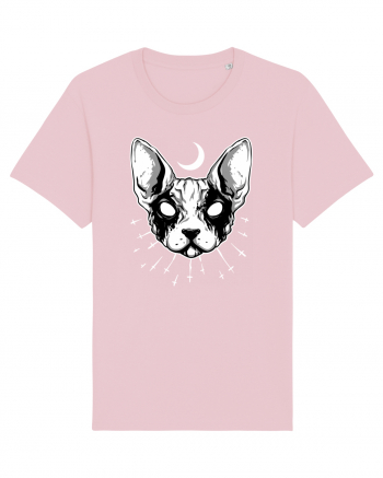 Pisică Sfinx Cotton Pink
