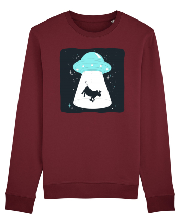 OZN Albastru Burgundy