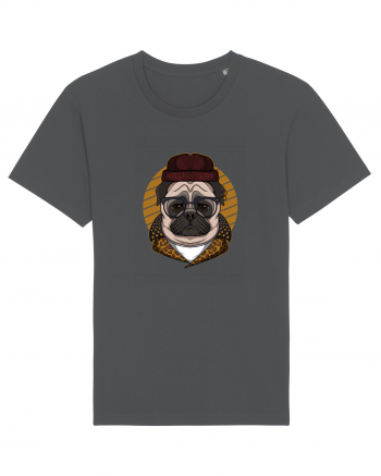 Be Cool Pug Anthracite