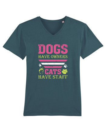 Dogs Have Owners, Cats Have Staff Stargazer