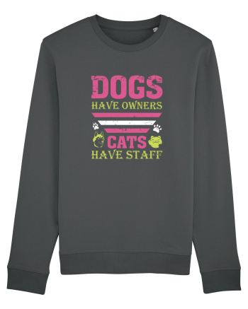 Dogs Have Owners, Cats Have Staff Anthracite