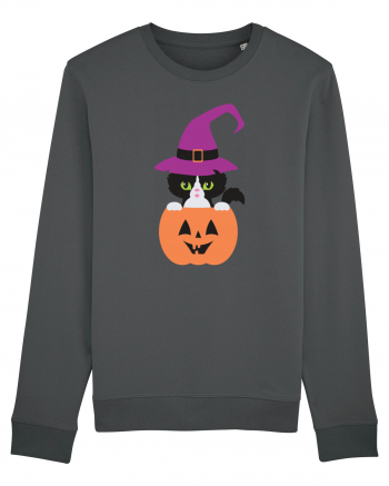 Pisica Neagra Halloween 1 Anthracite