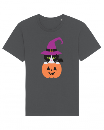 Pisica Neagra Halloween 1 Anthracite