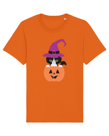 Pisica Neagra Halloween 1 Bright Orange