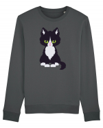 Pisica Neagra Halloween 5 Bluză mânecă lungă Unisex Rise