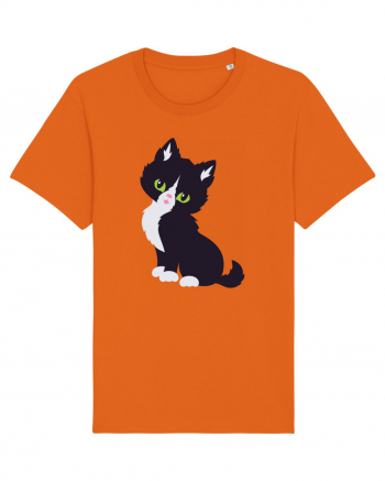 Pisica Neagra Halloween 7 Bright Orange