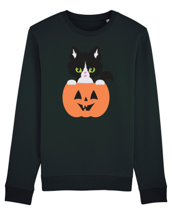 Pisica Neagra Halloween 8 Black