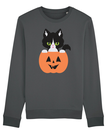 Pisica Neagra Halloween 8 Anthracite