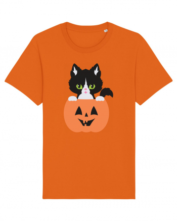Pisica Neagra Halloween 8 Bright Orange