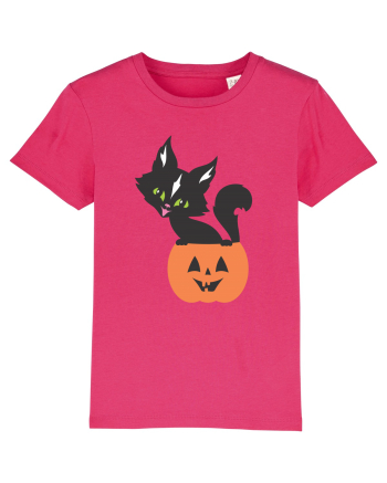 Pisica Neagra Halloween 13 Raspberry