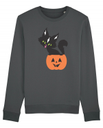 Pisica Neagra Halloween 13 Bluză mânecă lungă Unisex Rise