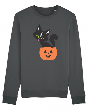 Pisica Neagra Halloween 13 Anthracite