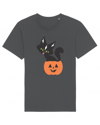Pisica Neagra Halloween 13 Anthracite