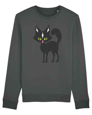 Pisica Neagra Halloween 14 Anthracite