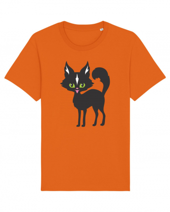 Pisica Neagra Halloween 14 Bright Orange