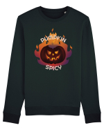 Sarbatoarea dovleacului Bluză mânecă lungă Unisex Rise