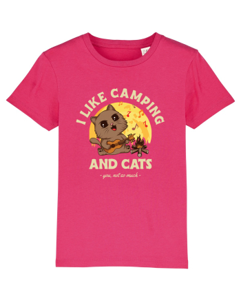 I like camping and cats Raspberry