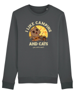I like camping and cats Bluză mânecă lungă Unisex Rise