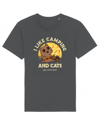 I like camping and cats Anthracite