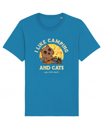 I like camping and cats Azur